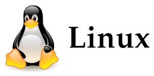 linux, statens dataforum